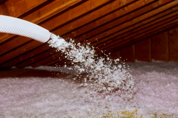 Professional Insulation Contractor in Point Roberts, WA