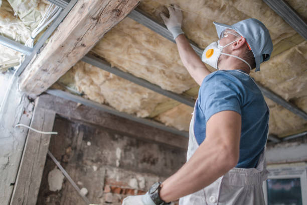 Best Specialized Insulation Services in Point Roberts, WA